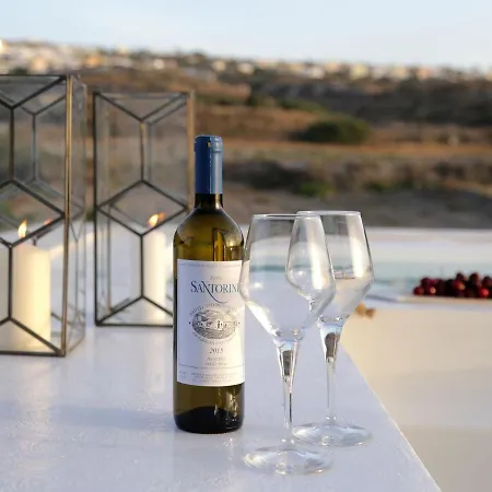 Vinsanto By Interhome * Foinikiá